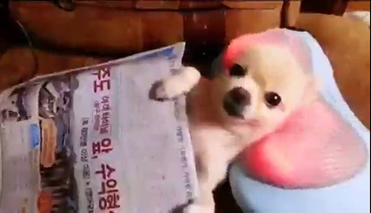 Relaxando um pouquinho