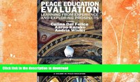Read books  Peace Education Evaluation: Learning from Experience and Exploring Prospects online