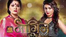 NAAGIN 2 - 30th November 2016 - Upcoming Twist