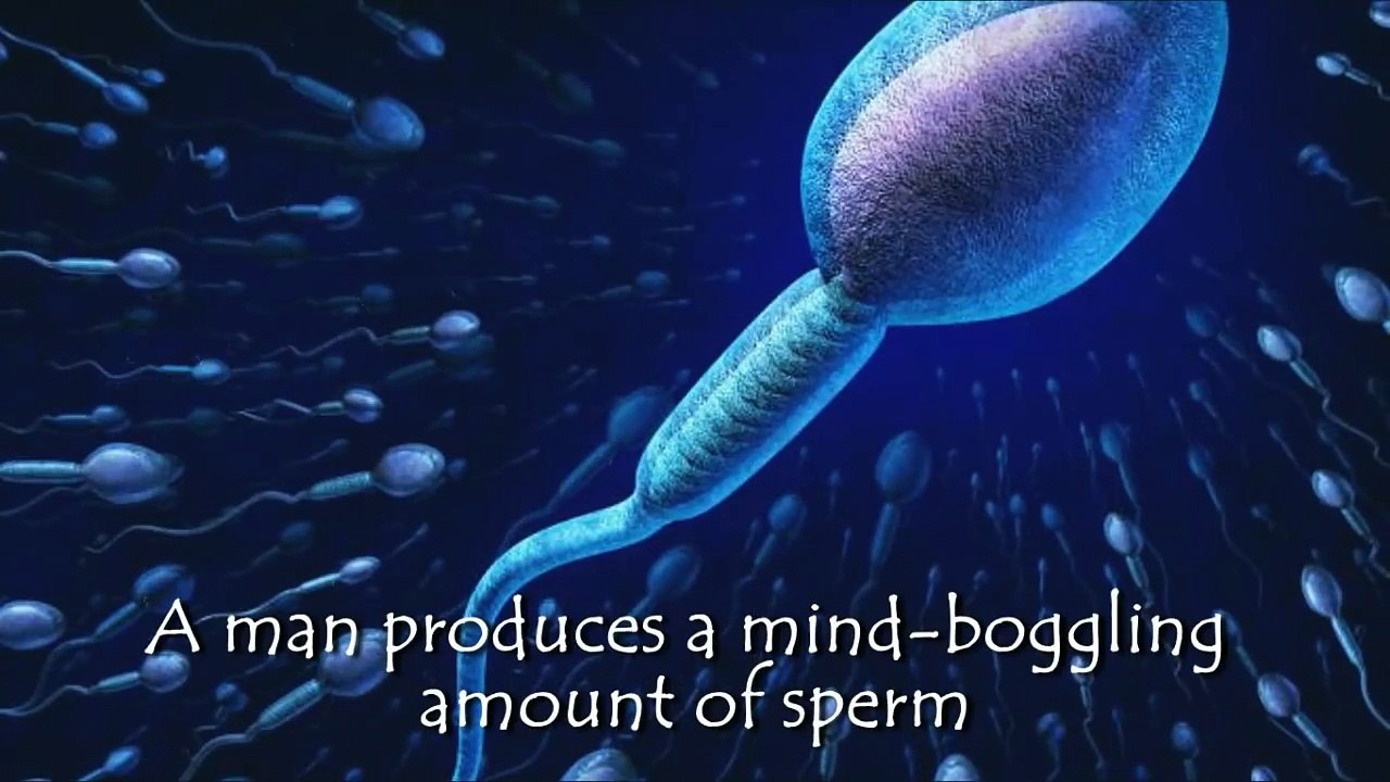 10 Facts About Sex You Probably Didn t Know