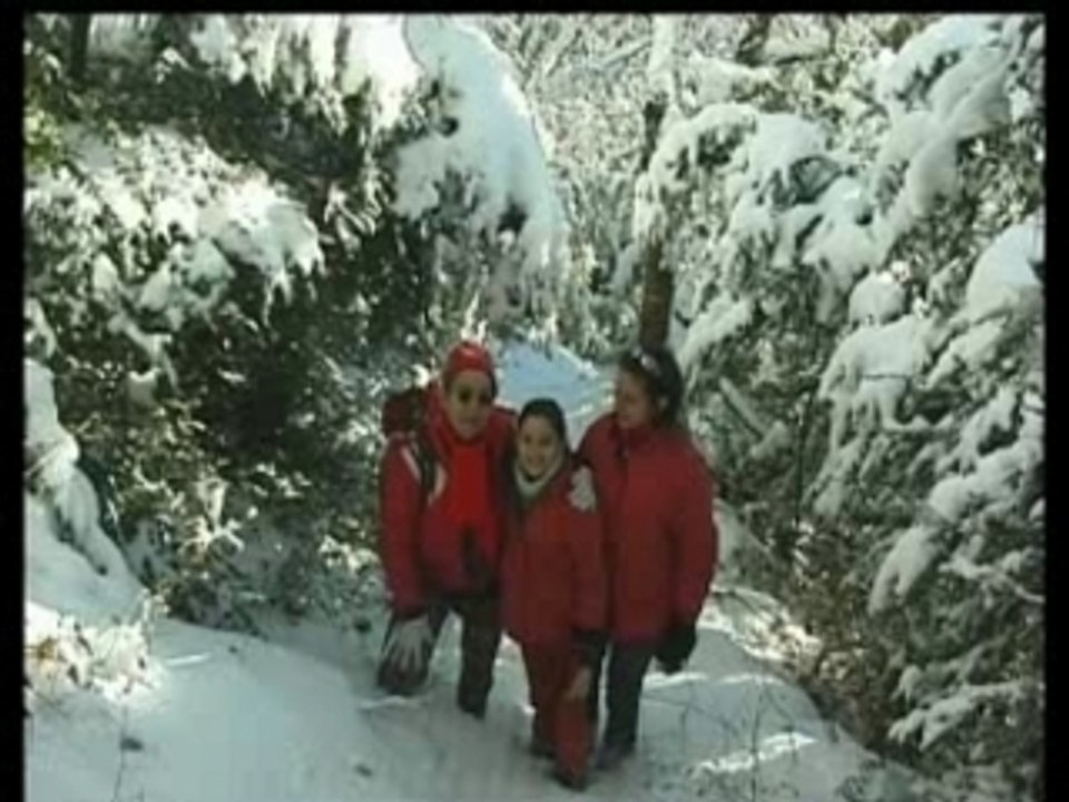Cascade de Glésy en hiver - Charttreuse