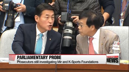 Parliament launches separate probe into Choi Soon-sil case