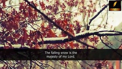 [ENG] I searched for Allah & He introduced himself-Maulana Tariq Jameel