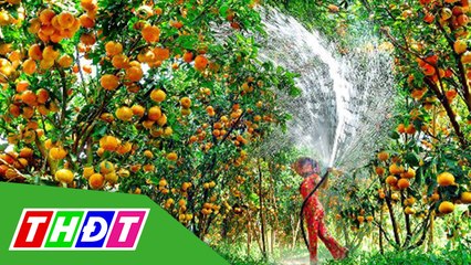 THDT - Karaoke Đồng Tháp quê mình (Cao Minh Thu)