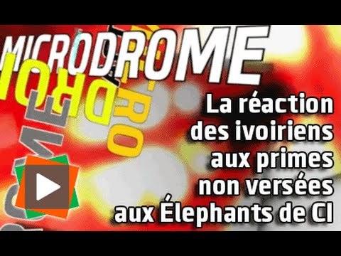 MICRODROME : Les réactions des ivoiriens aux primes non versées aux Élephants de CI