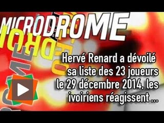 Microdrome: Les Ivoiriens jugent la sélection d'Hervé Renard pour la CAN 2015