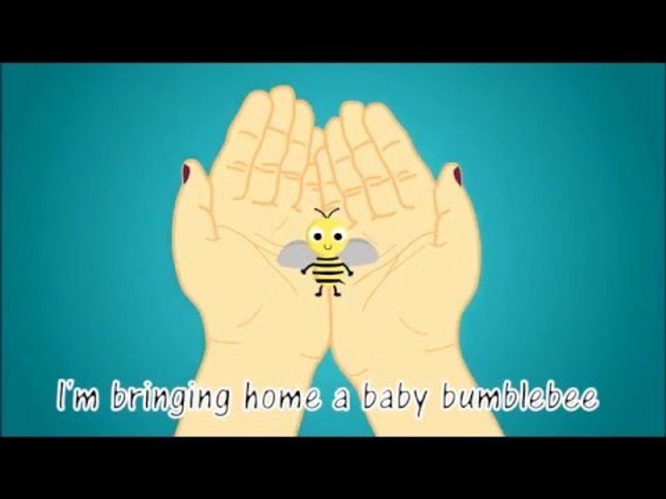 I'm Bringing Home a Baby Bumblebee - Kids song (older kids)