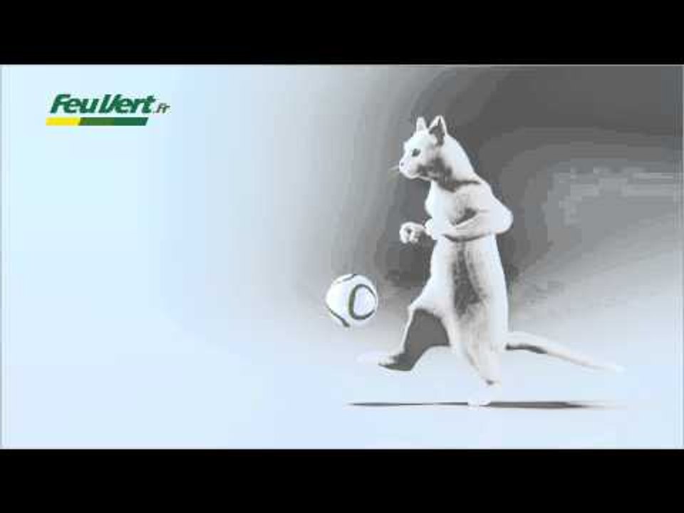 Billboard France-Danemark 29 mars 2015 - Feu Vert, Expert et en plus moins cher !