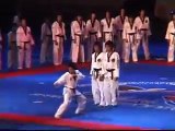 2007 World Taekwondo Championship Opening ceremony