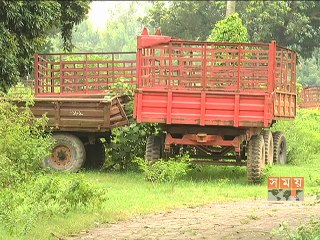 ‘সরকারের অধিকৃত জমিতে বসতি গড়ে গাইবান্ধার সাঁওতালরা’