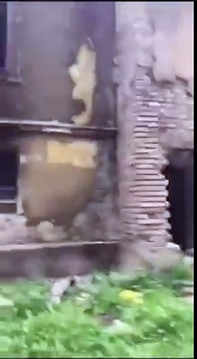 A thrilling video - must watch