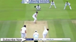 Funny drop catches in cricket history