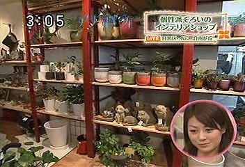 [2000年代バラエティ傑作シリーズ] アナ☆パラ（2008年5月26日 ＯＡ）