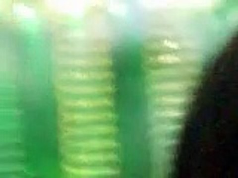 Muse - Assassin, Werchter Festival, 06/30/2006