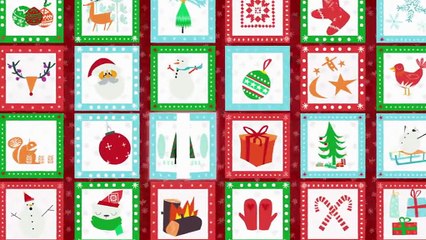 Calendrier de l'Avent : l'histoire de George, un wombat très sociable