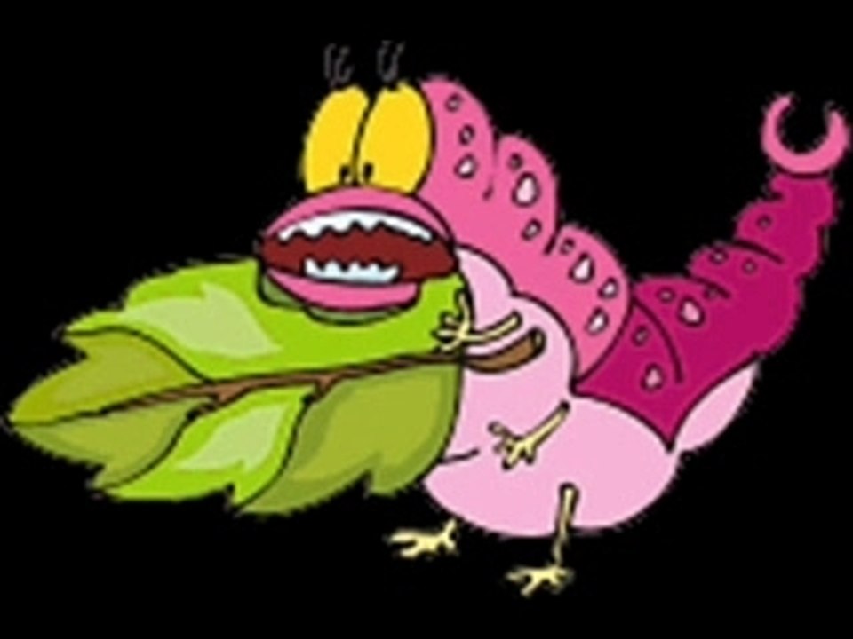 Evolution Proven Wrong by Butterflies!