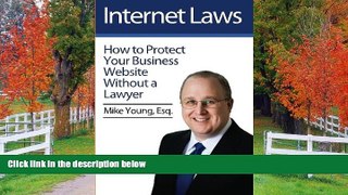 FAVORIT BOOK Internet Laws: How to Protect Your Business Website Without a Lawyer Mike Young Esq