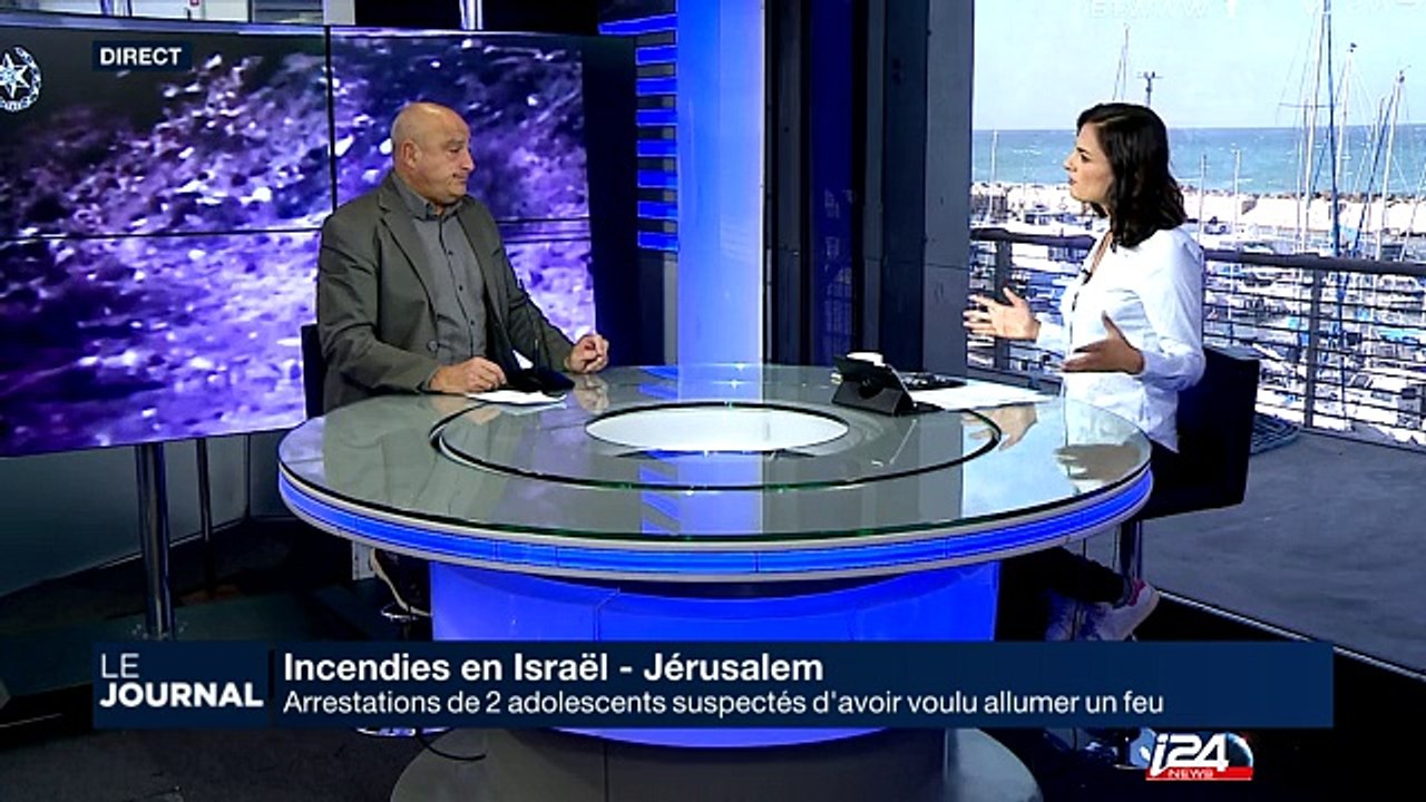 Israël - Incendies : arrestations de 2 adolescents suspectés d'avoir voulu allumer un feu