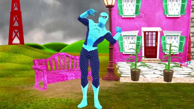 Finger Family Bear Family Rhymes Animals Cartoon Finger Family Rhymes for Children