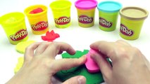 Play Doh Modelling Clay with Teddy Bird Heart Cookie Cutters Fun and Creative for Kids