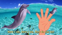 Finger Family Dolphin Family Nursery Rhyme | Sea Animal Finger Family | Daddy Finger Song Fish