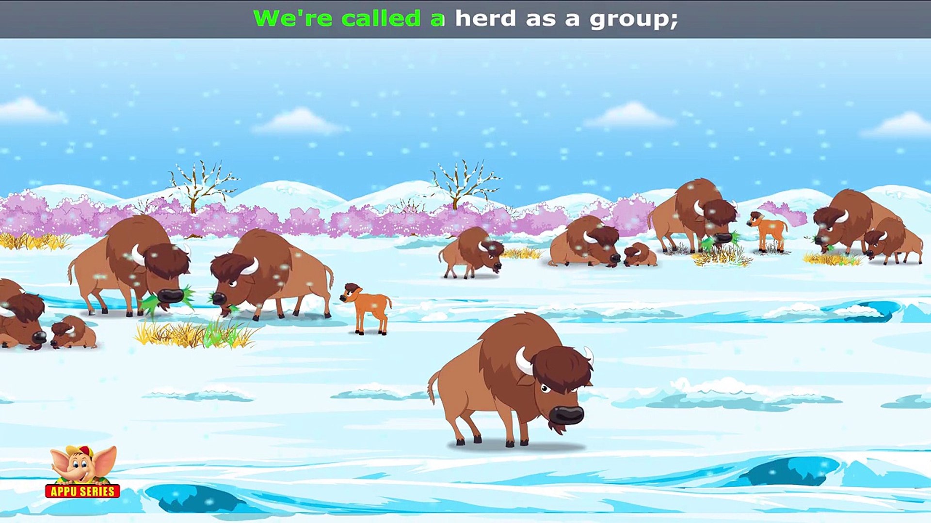 Bison - Animal Rhymes in Ultra HD (4K)