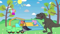 Funny Cartoon | Peppa Pig Doctor #Peppa Pig SpiderMan #Finger Family Songs For Kids