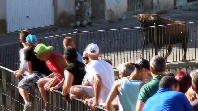 Un taureau détruit le 4x4 de touristes venus voir le lâcher annuel!