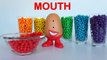 Play Doh Rainbow Dippin Dots Learn Words with Mrs Potato Head | RainbowLearning