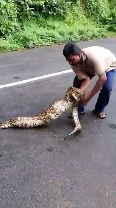WATCH IT