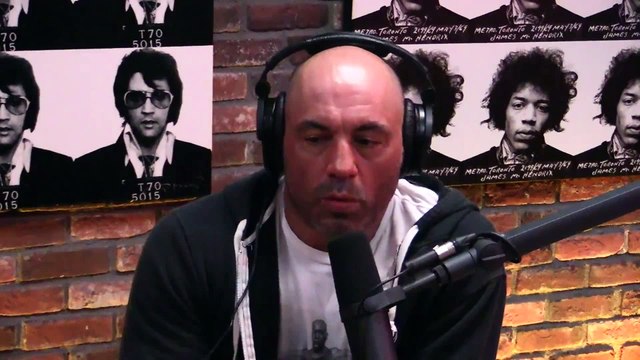 Joe Rogan on Halloween Costume Scandal at Yale, Women Studies, Reconstructin Patriarchy