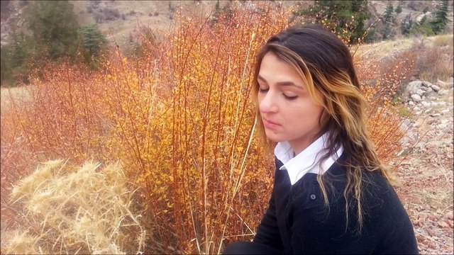 Dj Engin Akkaya ft. Kübra Akkaya - Yalvaracaksın (Demo HD)