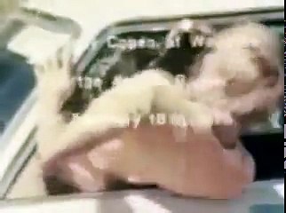 Lion attack from Savage Man Savage Beast (full sequence)