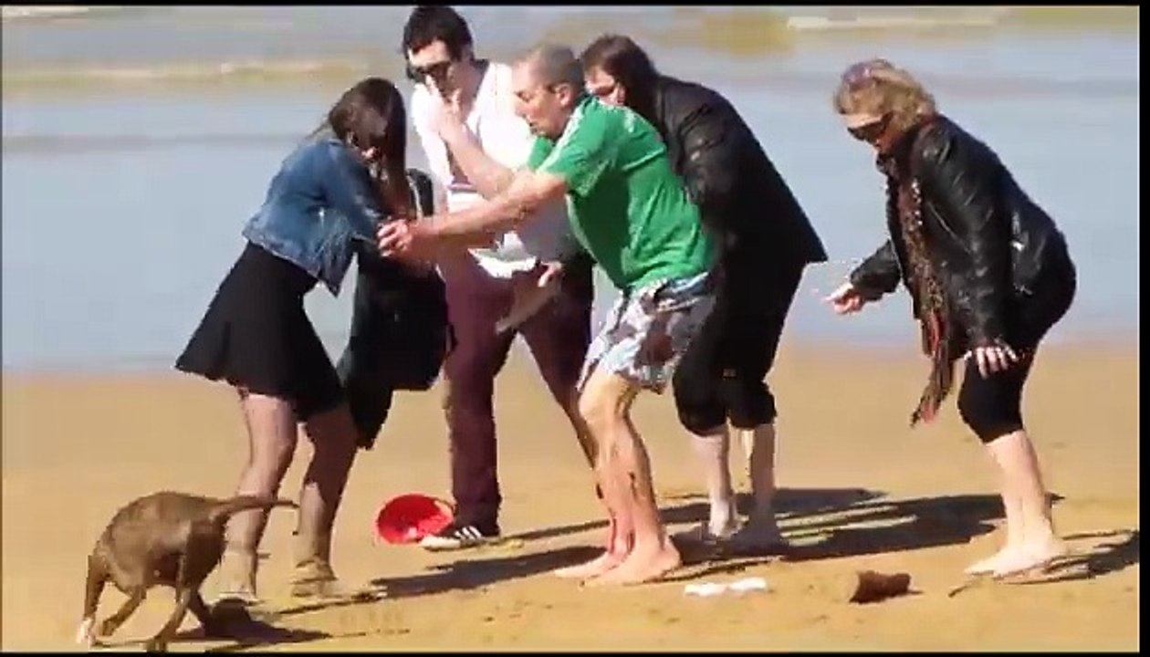 PITBULL DOG ATTACKS LIVE!! HD 2014