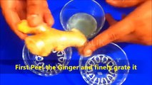 DIY Ginger Hair Mask for Extreme Hair Growth || Promote Hair Growth || Best For Hair Fall