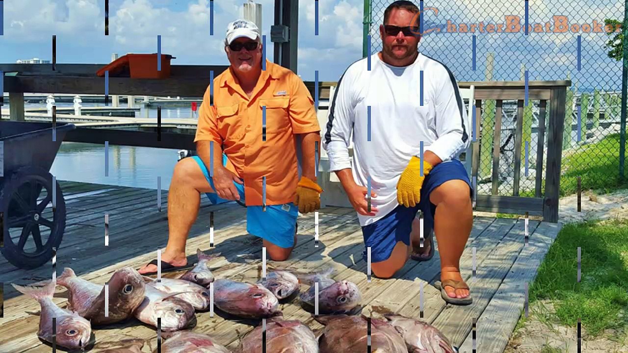 Gulf Shores Charter Fishing