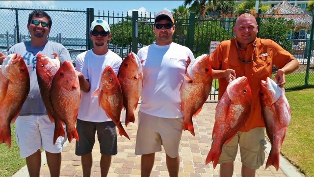 Gulf Shores Fishing Charters