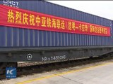 China, Pakistan launch direct rail and sea freight service