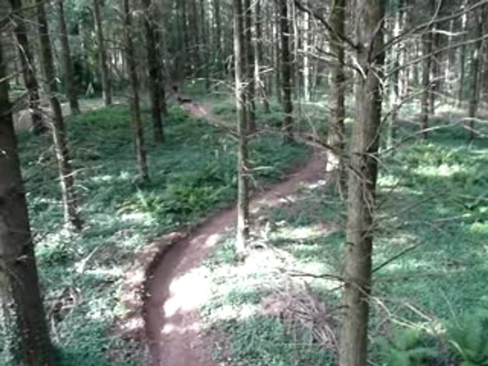 Tyrolienne secret spot