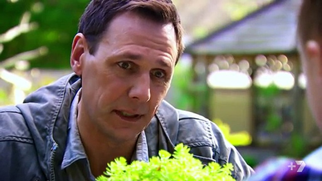 Home and Away 6565 1st December 2016 Part 2/3