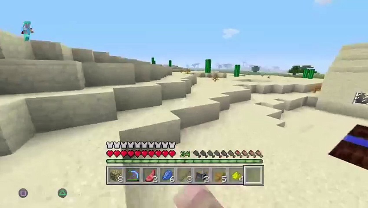 Minecraft cu prieteni (7)
