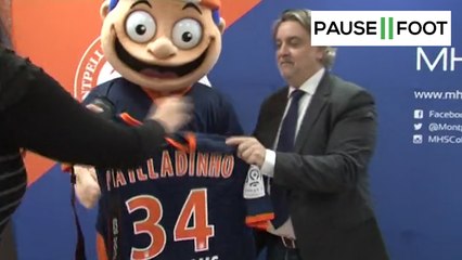 Pailladinho, nouvelle mascote de Montpellier