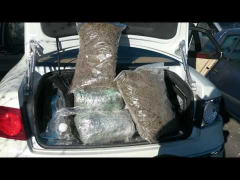 Durrës, sekuestrohen 190 kg kanabis në port - Top Channel Albania - News - Lajme