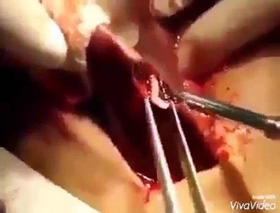 BEST VIDEOS HERE (54)