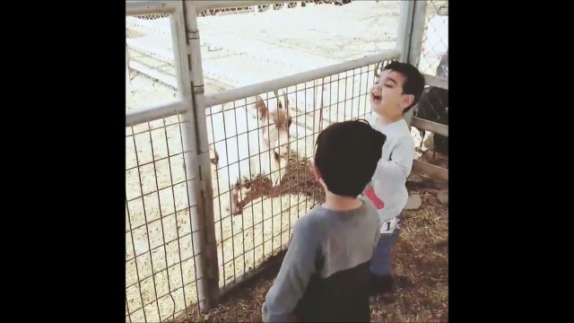 Ce gamin se prend pour un bouc : bim, coup de tête!