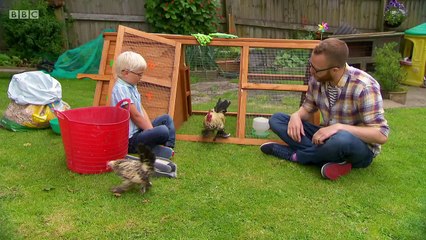 My Pet and Me . s02e05 . Cockerel . children story cartoon cBeebies