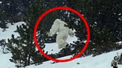 Esquiadores entram em pânico com avistamento do Abominável Homem das Neves!