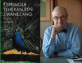 Novels Plot Summary 230: Teheran, een zwanezang  (Tehran, a Swan Song)