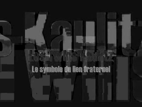 Les Twins Kaulitz (chanson In Die Nacht)