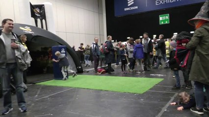 Wasps Nest Fan Village